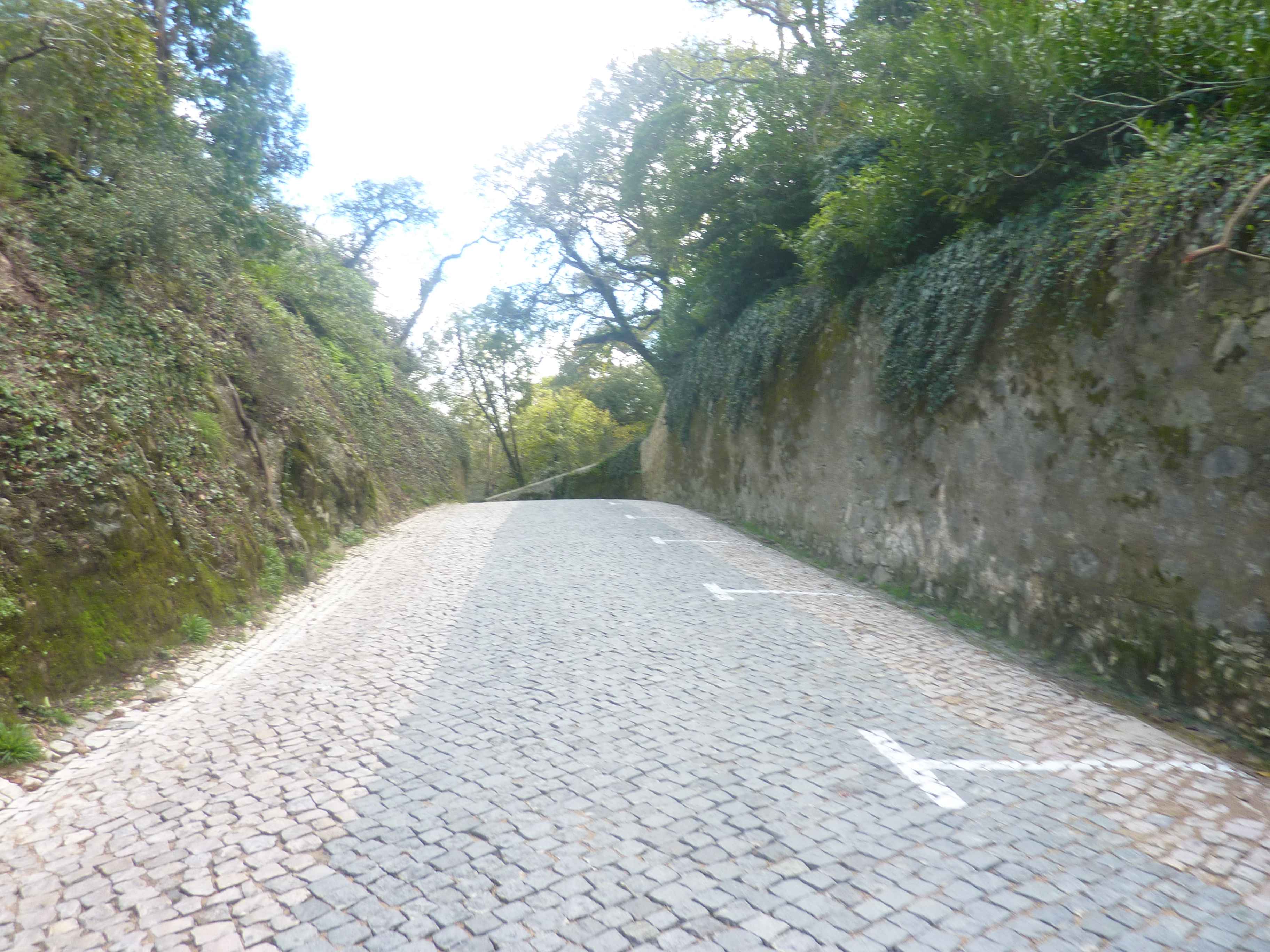 Photos de Route Pavee Menant Aux Chateaux De Sintra