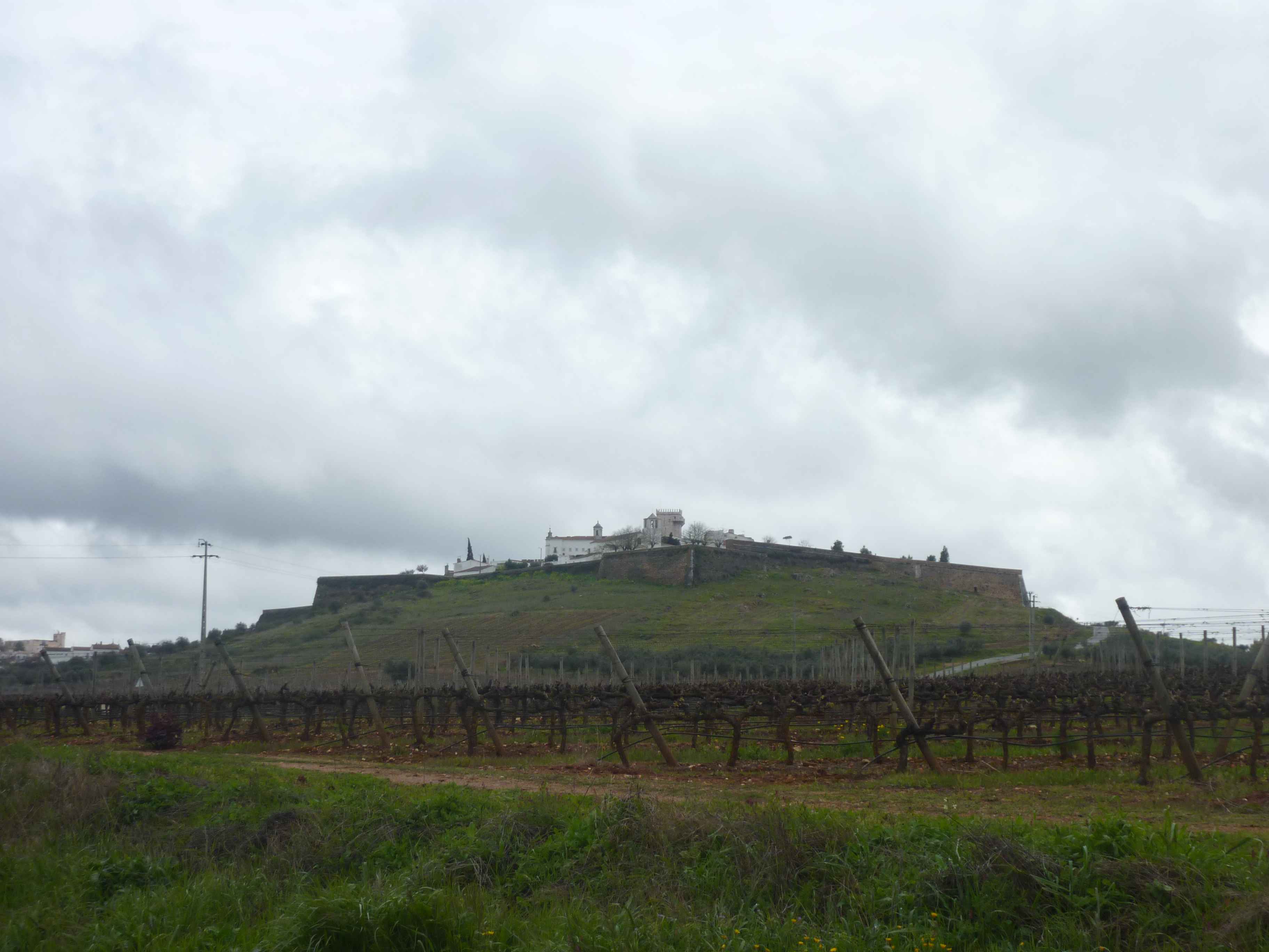 Photos de Vignes Autour De Estremoz