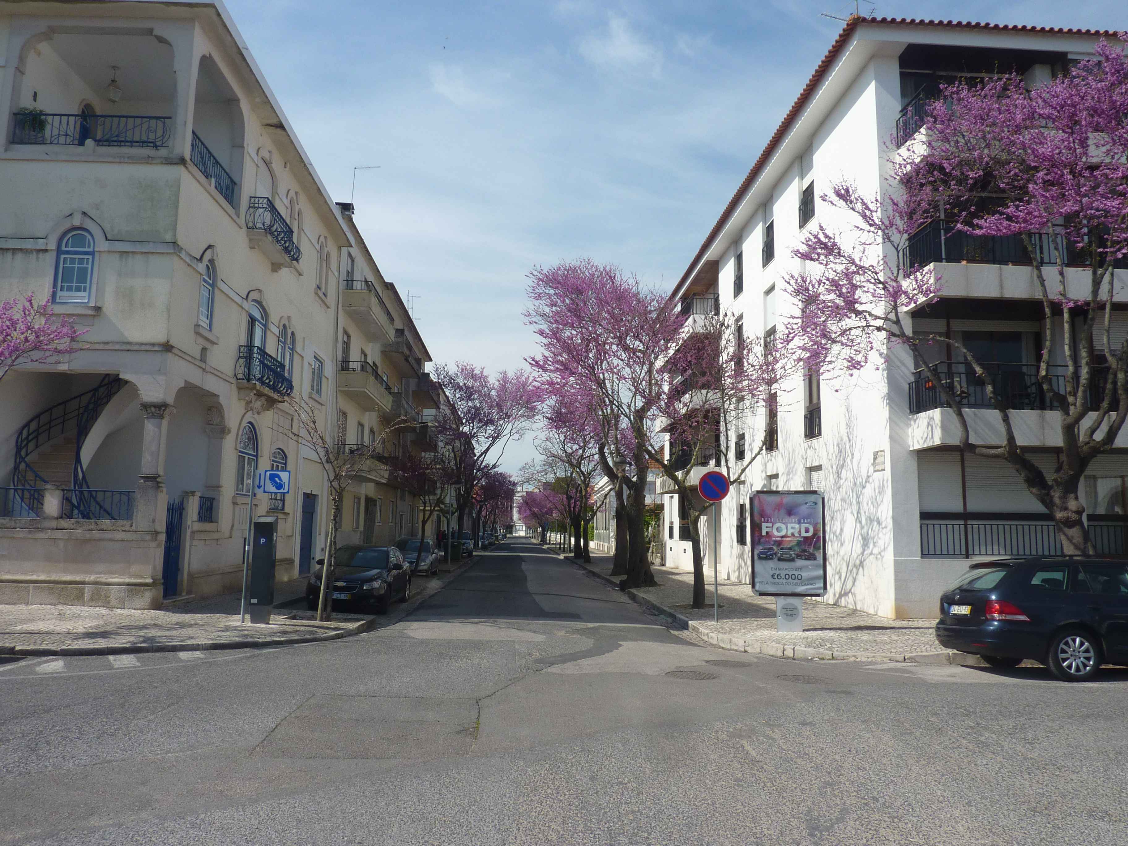 Photos de En Face Du Parc De Santarem