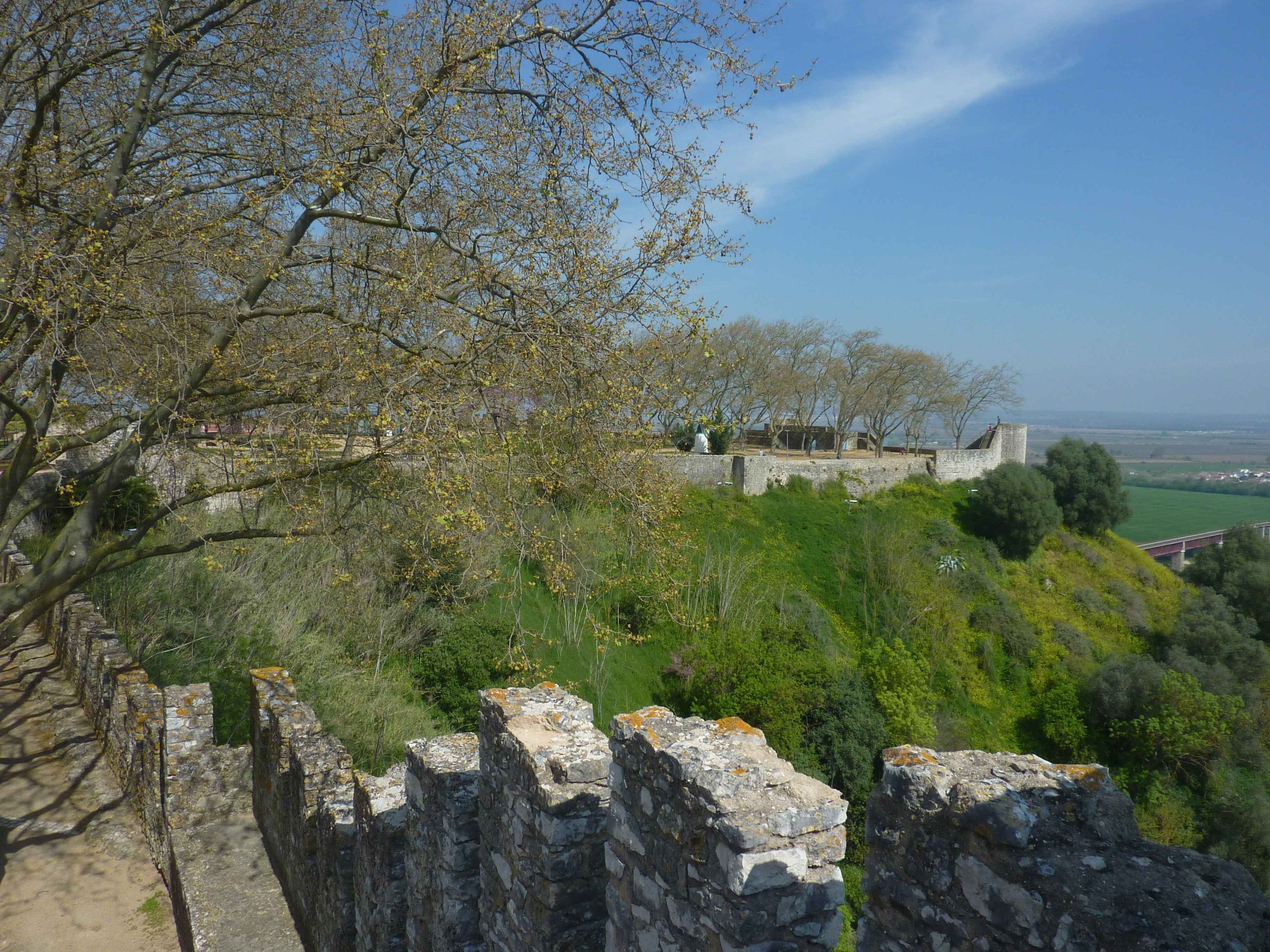 Photos de Vaste Jardin Dans Santarem